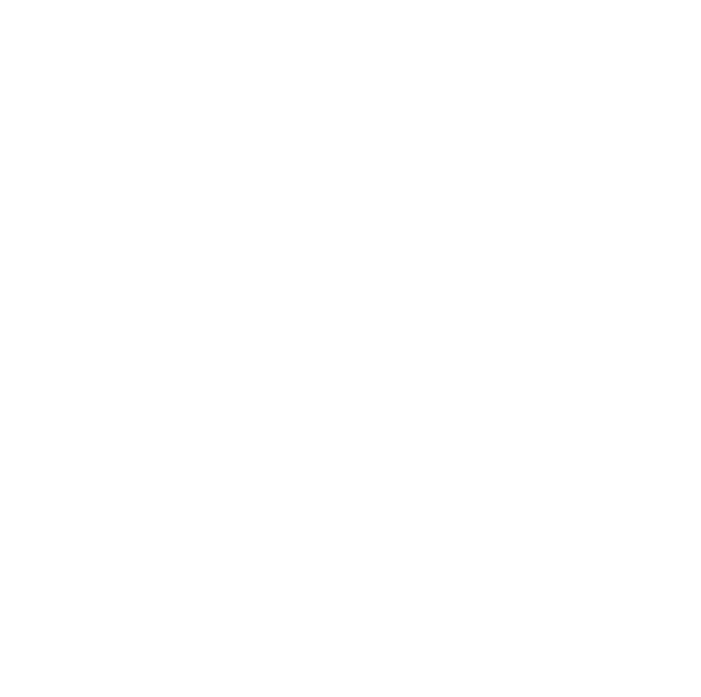 Rapnix International Logo
